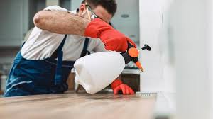 Best Pest Control for Multi-Family Homes  in Wendell, NC